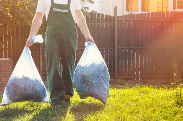 Attic Cleanout Services in Hawaiian Beaches, HI